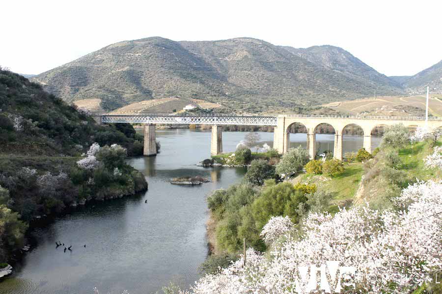 Parque natural do Douro Internacional