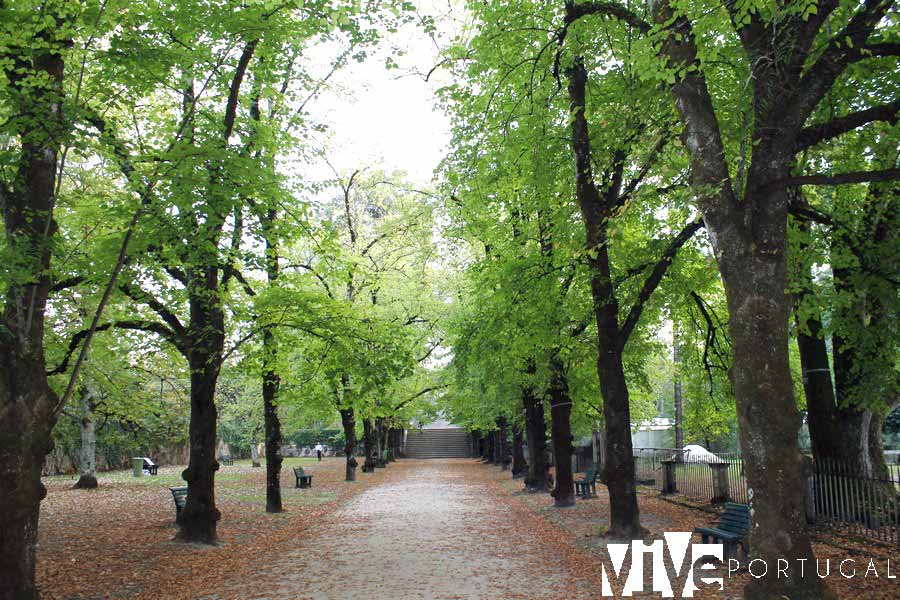 Jardín Botánico de Coímbra que visitar en Coímbra