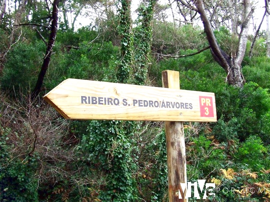 Señalización de la ruta de la orla costeira ao Ribeiro de São Pedro