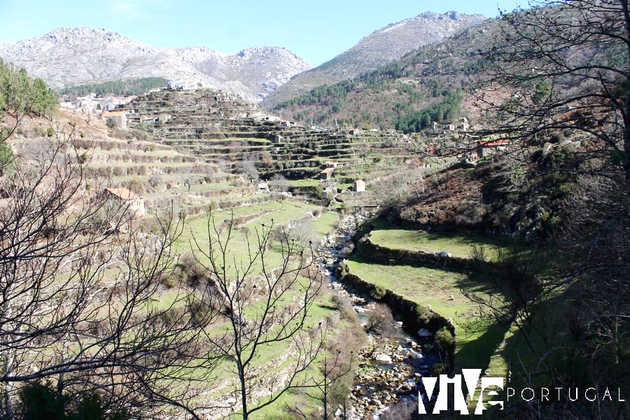 Terrazas de Loriga