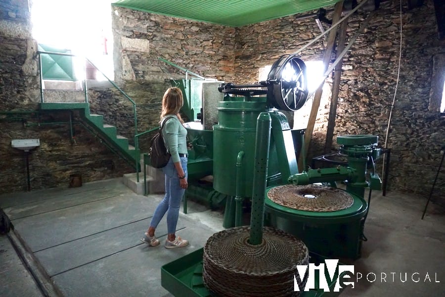 Lagar de aceite de la bodega D'Origem