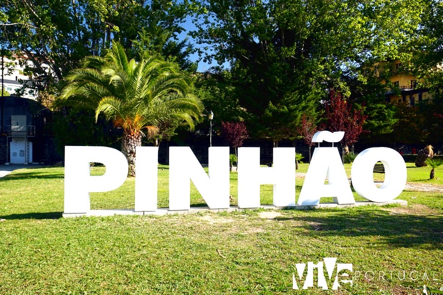 Pinhão