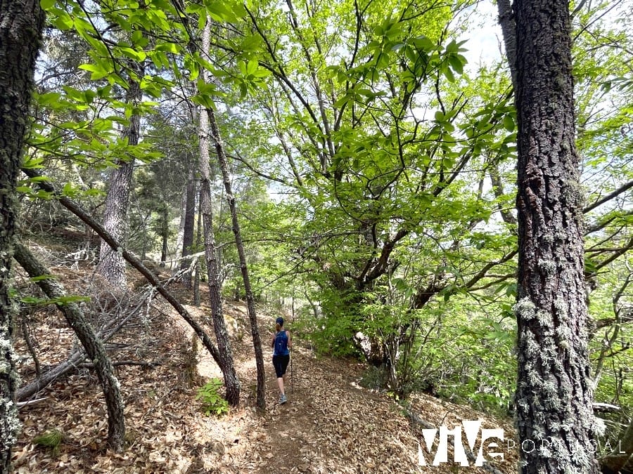 Ruta del castro de Vilarinho dos Galegos