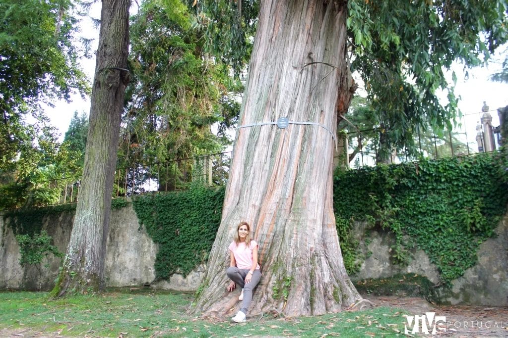Jardín Botánico de Coímbra