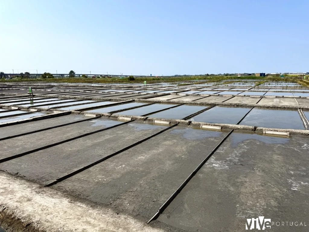 Salinas de Aveiro