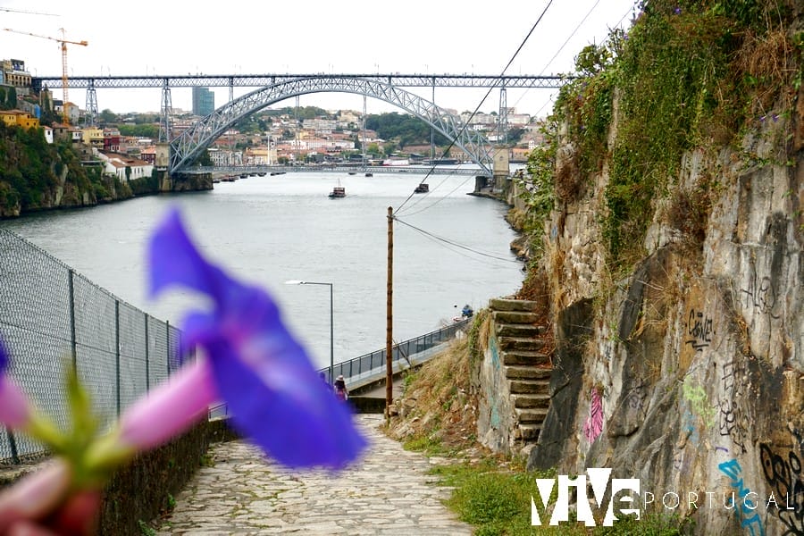 Puente Dom Luís I desde la calçada das Carquejeiras