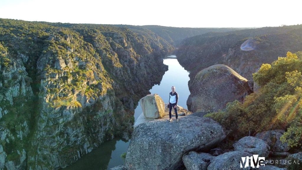 Mirador Fraga Amarela