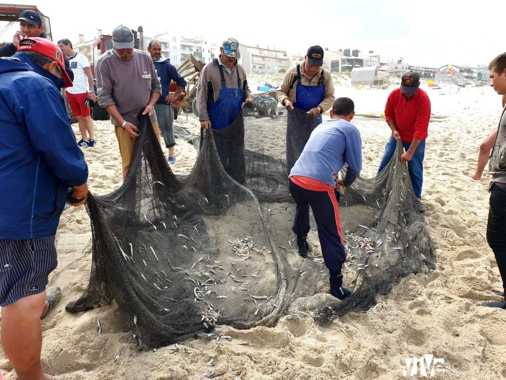 Pescadores con los últimos restos en las redes del arte xávega