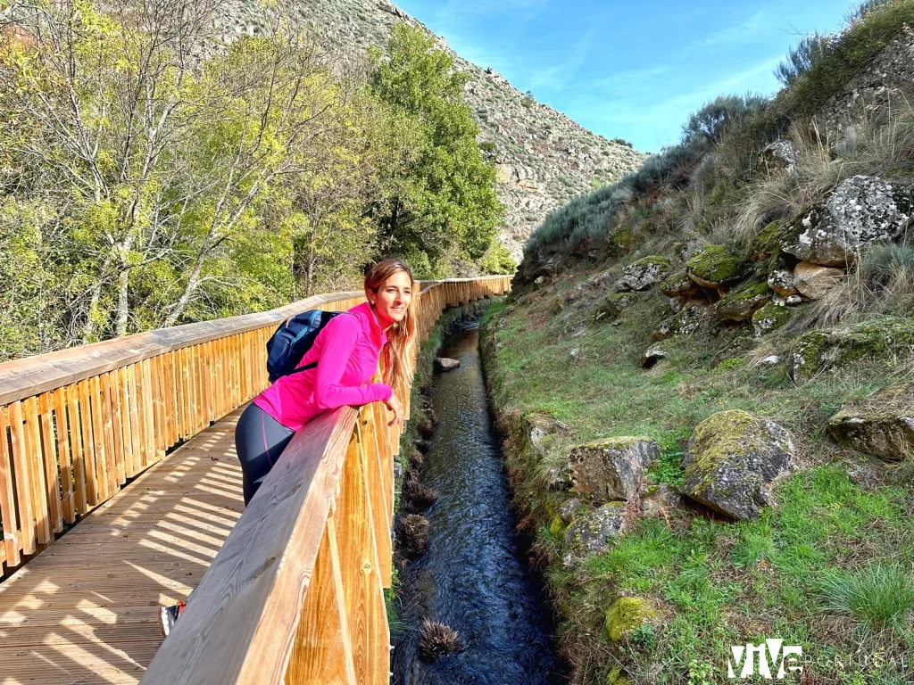 Levada do Pateiro