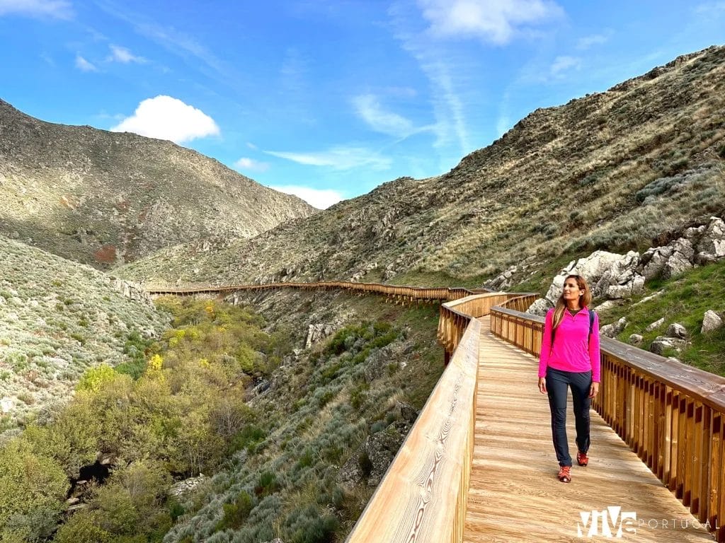 Un punto de las pasarelas del río Mondego