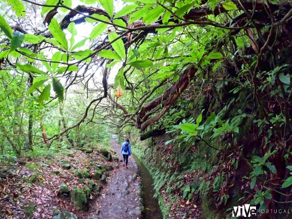 Levada do Caldeirão Verde