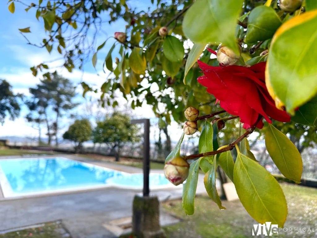 Piscina exterior del Convento do Seixo