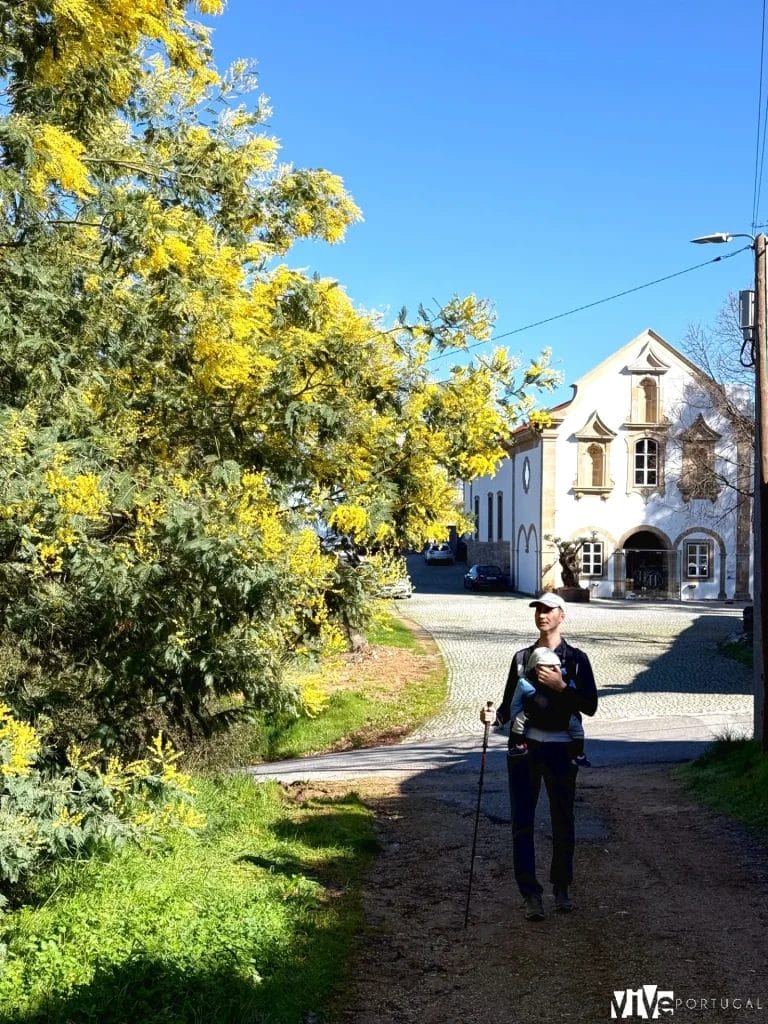 Exterior del Convento do Seixo