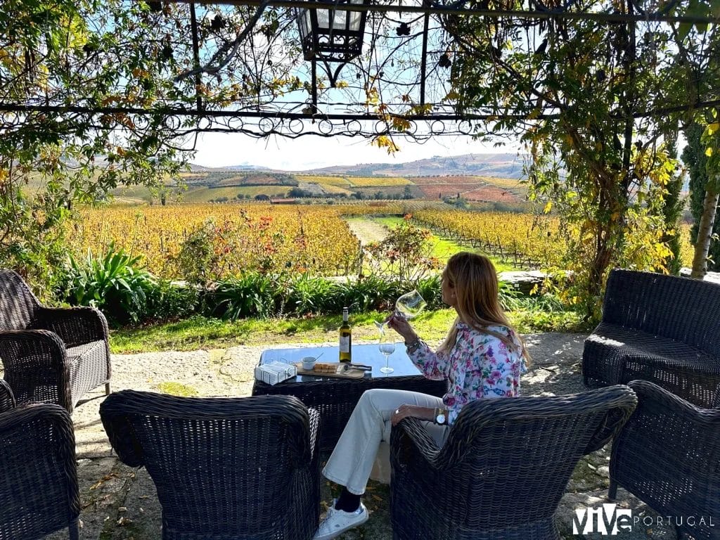 Cata en la Quinta da Avessada