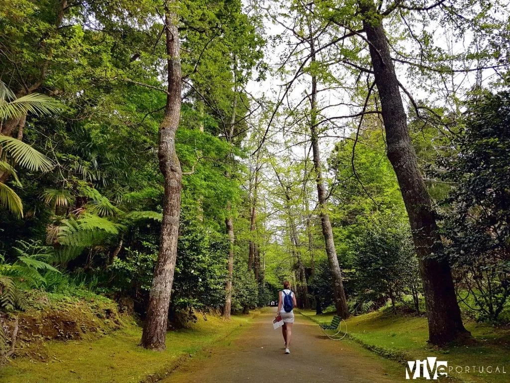 Parque Terra Nostra de la isla de São Miguel