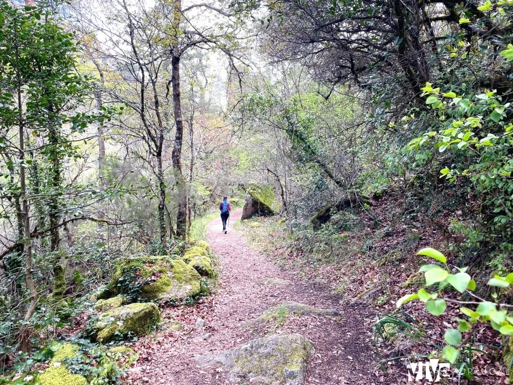 Parque Nacional de Peneda-Gerês