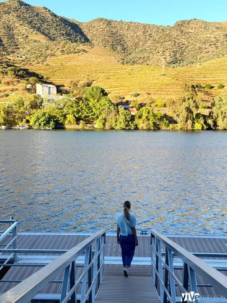 Paisaje del Douro Vinhateiro