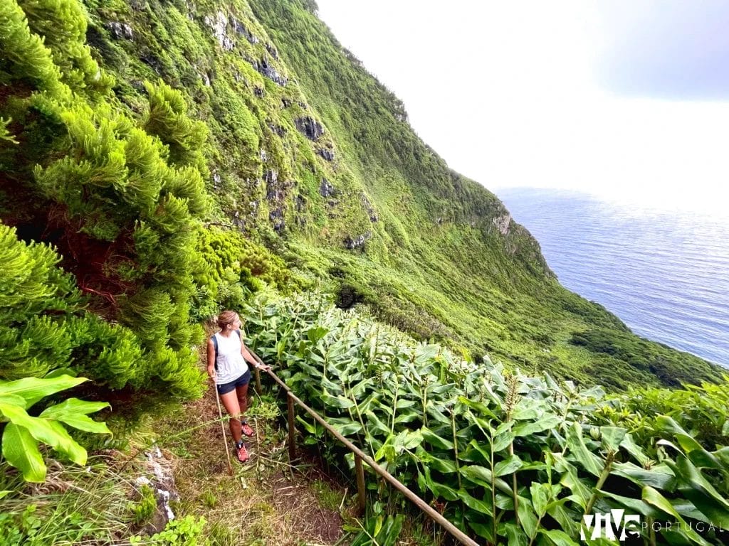Ruta Fajã Grande–Ponta Delgada